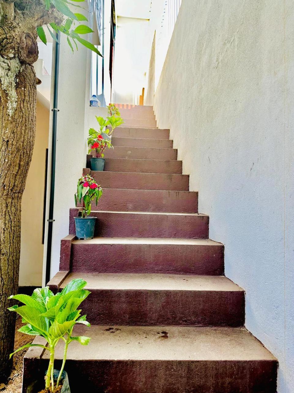 Sea Breeze Guest House เนกอมโบ ภายนอก รูปภาพ